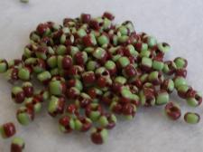 Seed Beads 2 Tone Lt Green Brown 8/0 225g
