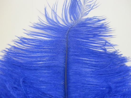 Ostrich feathers 35cm  2pcs #22 blue