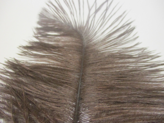 Ostrich feathers 35cm  2pcs #22 brown