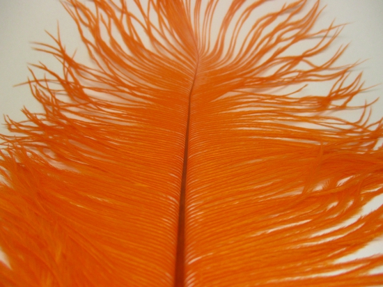 Ostrich feathers 35cm  2pcs #22 orange