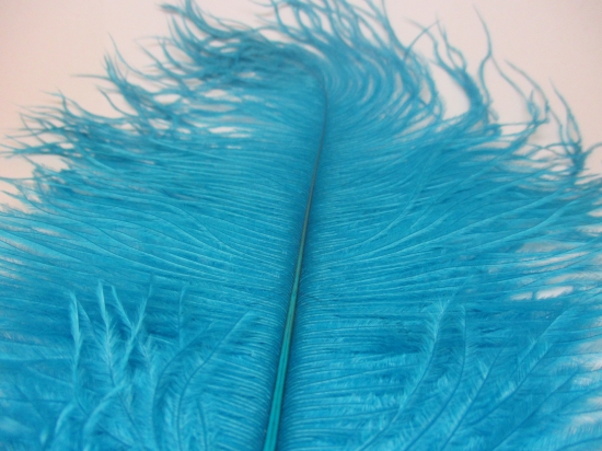 Ostrich feathers 35cm  2pcs #22 turq