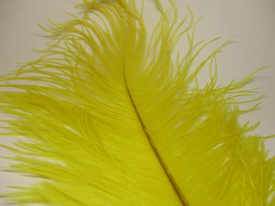 Ostrich feathers 35cm  2pcs #22 yellow