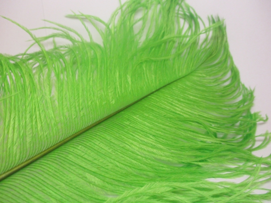 Ostrich feathers 35cm  2pcs #22 green