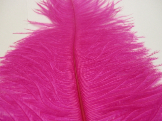 Ostrich feathers 30cm  2pcs #5 purple