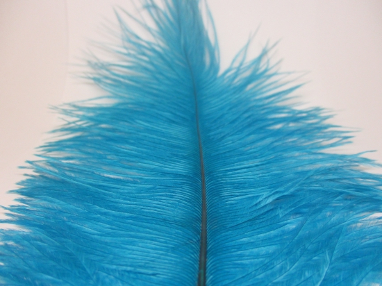 Ostrich feathers 30cm 2pcs #5 turq