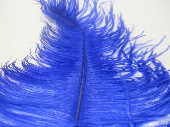 Ostrich feathers 30cm 2pcs #5 blue