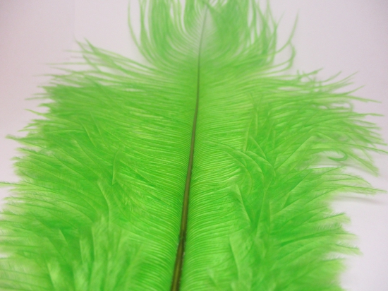 Ostrich feathers 30cm 2pcs #5 green