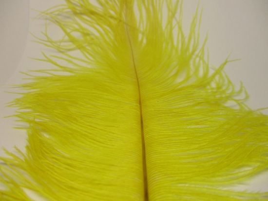 Ostrich feathers 30cm 2pcs #5 yellow