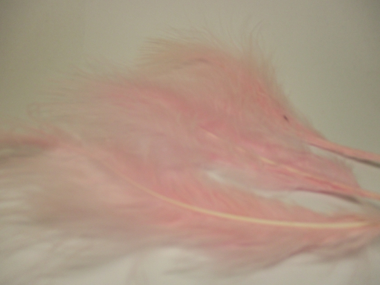 Feathers 15cm 25pcs #16 pink