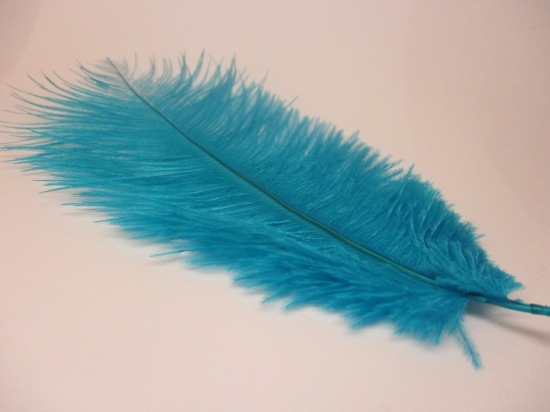 Ostrich feathers 20cm 5pcs #23 turq