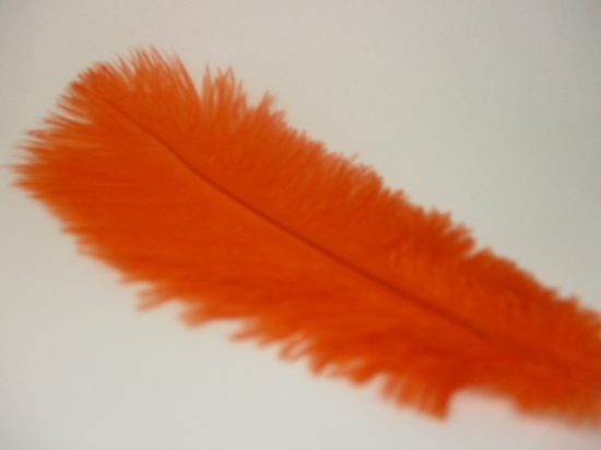 Ostrich feathers 20cm 5pcs #23 orange