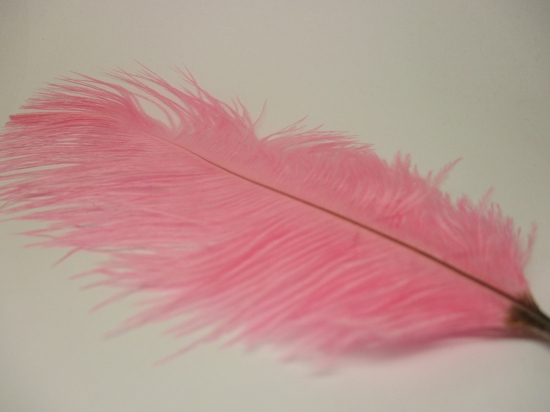 Ostrich feathers 20cm 5pcs #23 pink