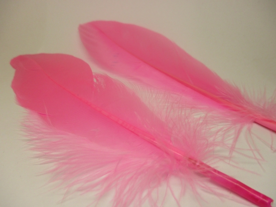 Feathers 18cm 20pcs #19 pink