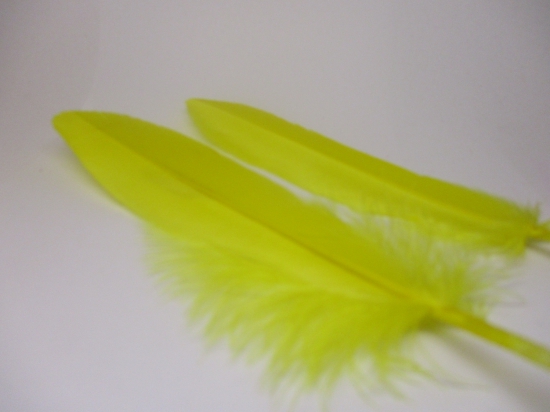 Feathers 18cm 20pcs #19 yellow