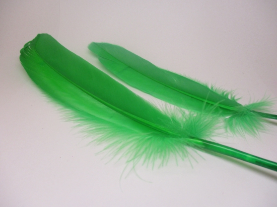 Feathers 18cm 20pcs #19 green