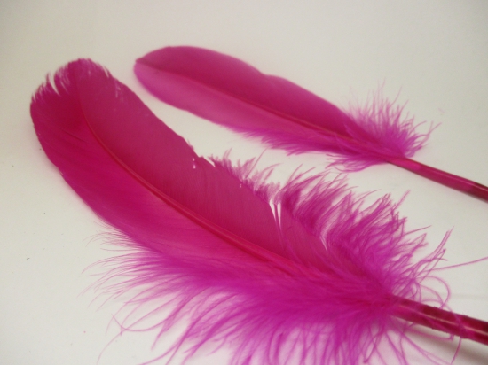 Feathers 18cm 20pcs #19 purple