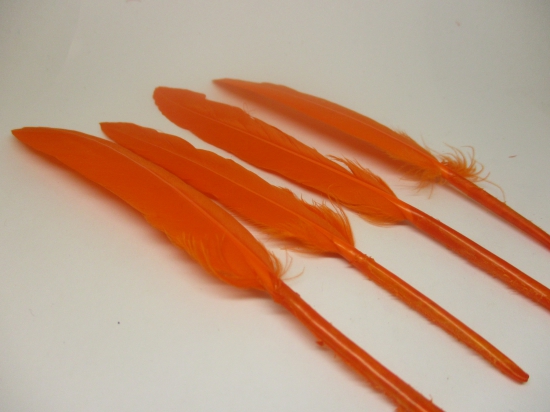 Feathers 17cm #17 50pcs Orange