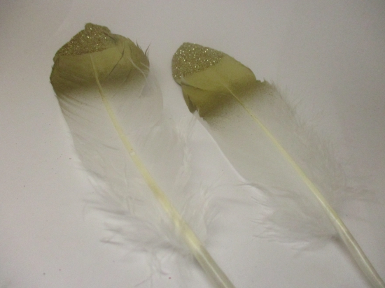 Feathers 18cm #1 10pcs  White Gold