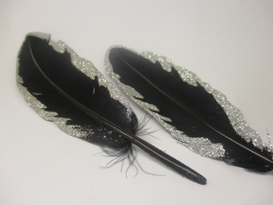 Feathers 18cm 10pcs #9 black silver