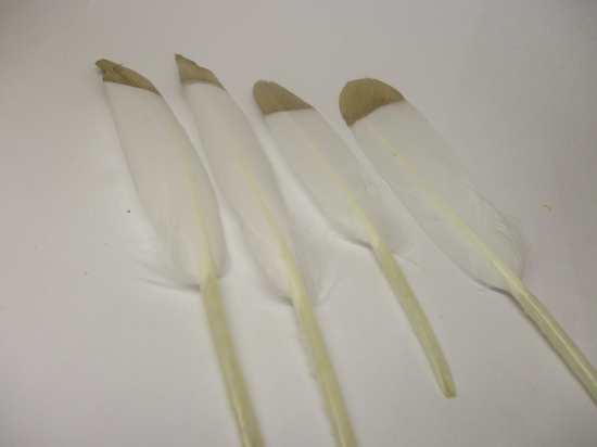 Feathers 15cm #2 20pcs White gold