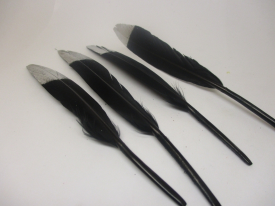 Feathers 15cm #2 20pcs Black silver