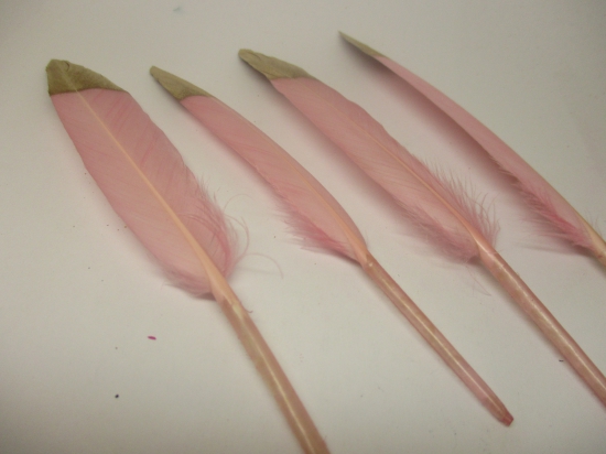Feathers 15cm #14 10pcs Pink gold