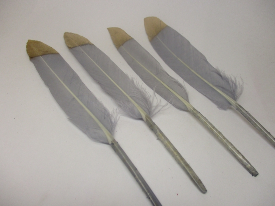 Feathers 15cm #14 10pcs Grey gold