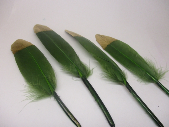 Feathers 15cm #14 10pcs Lt green gold