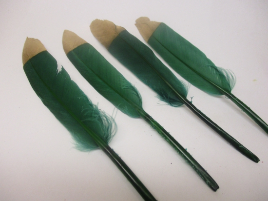 Feathers 15cm #14 10pcs Green gold