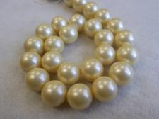 Shell Pearls Lt Gold 16mm +/-25pcs