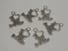 CHARMS 6PCS