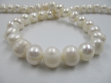 Fresh Water Pearl 7mm  Cream +/-36cm