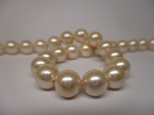 Shell Pearl 8mm +/-50pcs