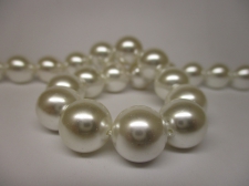 Shell Pearl 12mm +/-33pcs