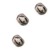 BONE 5X8 WHEEL ETCH/B/W 100PCS
