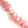 SHELL CHIPS RED 1 STRING