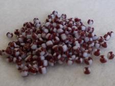 Seed Beads 2 Tone Brown/White 8/0 225g