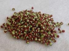 Seed Beads 2 Tone Lt Green/Brown 11/0 225g