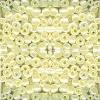 PEARL YELLOW 11/0 500G