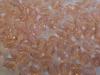 CRYS RND 4MM ROSE 100PCS