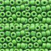 GREEN 11/0 100G