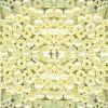PEARL YELLOW 11/0 100G