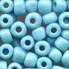 TURQUOISE 6/0 100G
