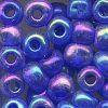 RAINBOW BLUE 6/0 100G