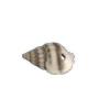 WHISTLE SHELL/SML 250G +-390PC