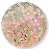 SEQUIN ROUND LRD SLVR LSR 100G