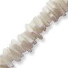 SHELL SQUARE 5MM WHITE 1 STRIN