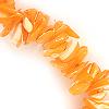 SHELL CHIPS CHAMPAGNE 1 STRING