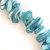 SHELL CHIPS LT.BLUE 1 STRING