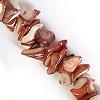 SHELL CHIPS BROWN 1 STRING
